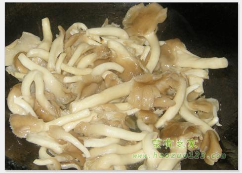 ��������Ƭ������