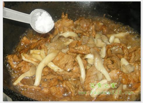 ��������Ƭ������