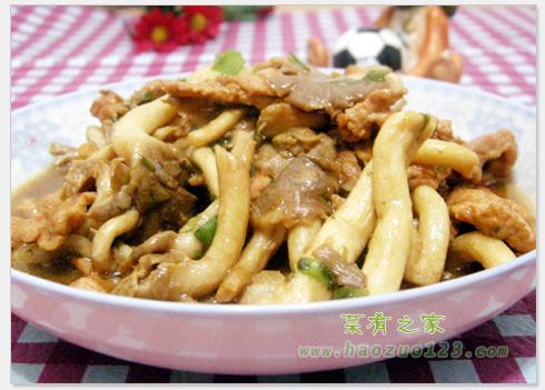 ��������Ƭ������