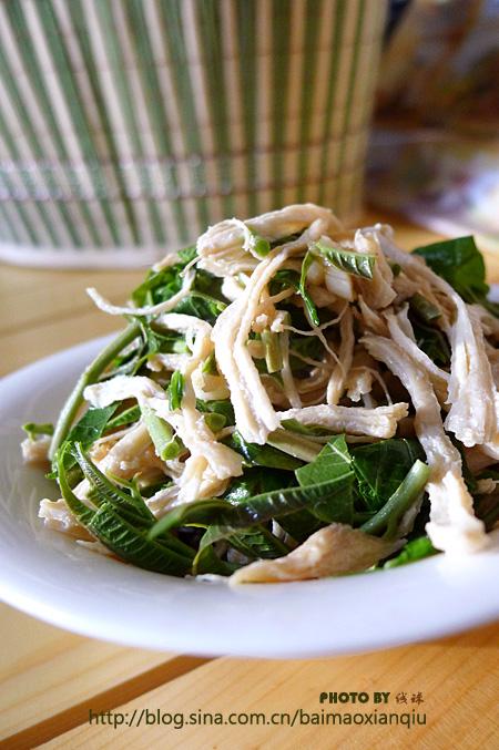 ��ѿ��˿������