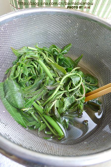 ��ѿ��˿������