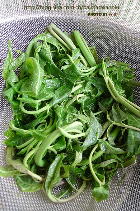 ��ѿ��˿������