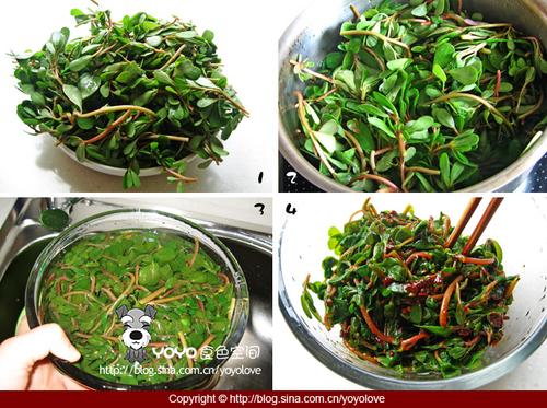 ���������ȵ�����