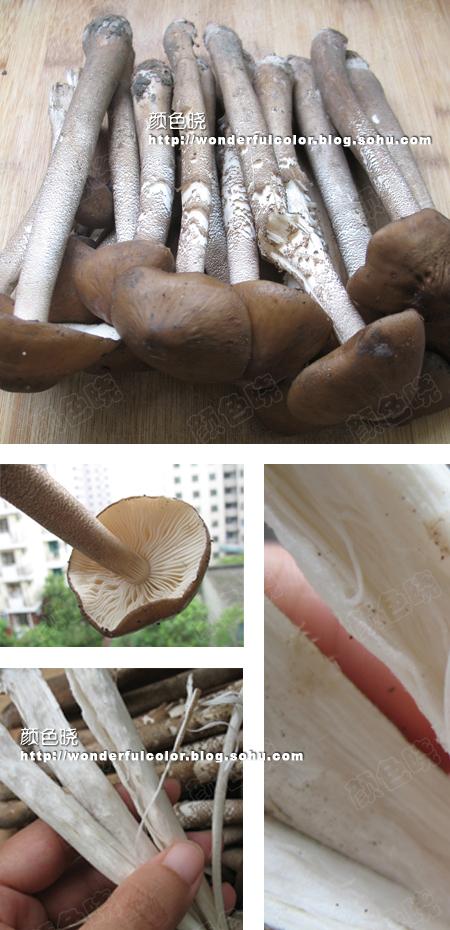 �ʾ���Ƭ��������