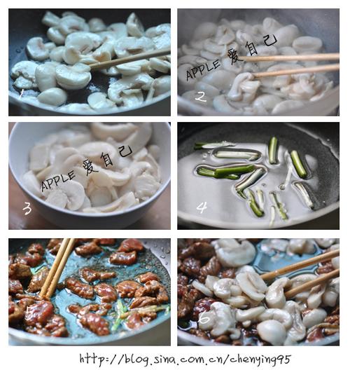 ����Ģ��ţ�������