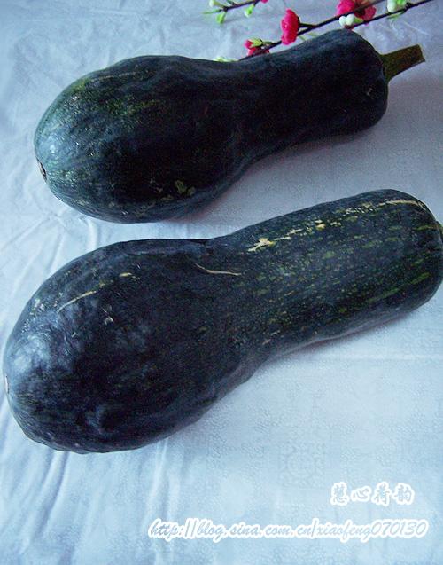 ��Ǯ����ϺƤ���Ϲϵ�����