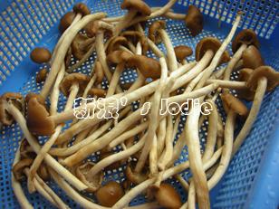 ������˿����Ѽ��������