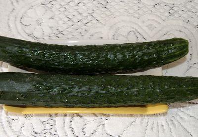 �����ƹ���������