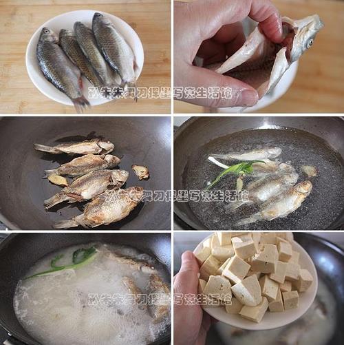 ���㶹����������