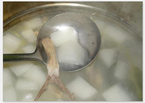 萝卜鸭舌汤的做法