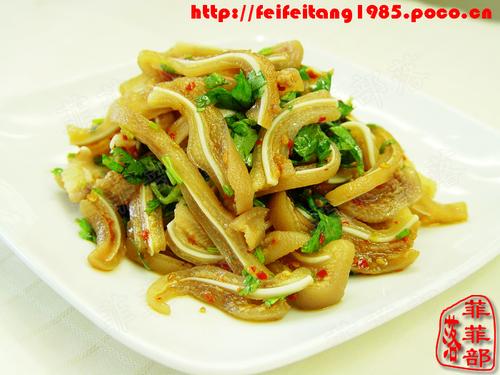 ��������˿������