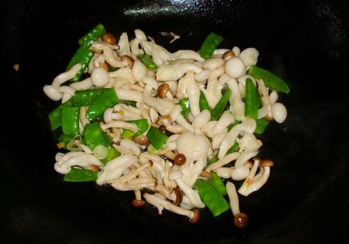 Ģ������Ƭ������