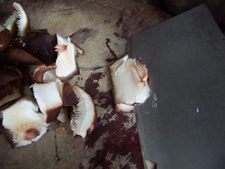 ��ʲ��������