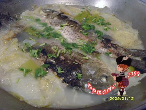 �ײ������������