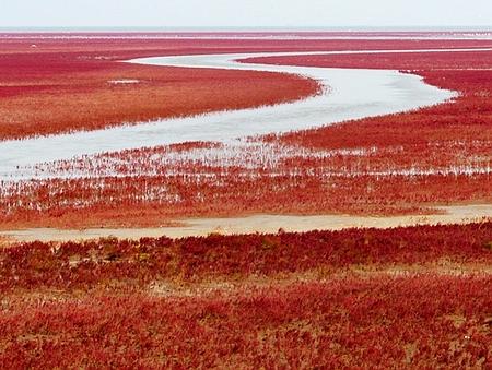 �������˵�����