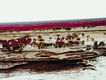 �������˵�����