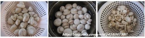 ��ĩ����������