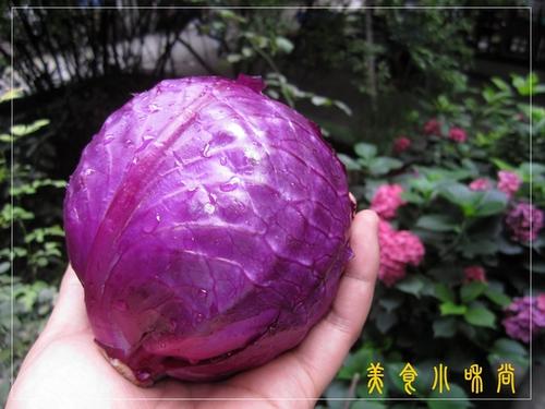 �����ϸ���������