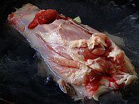 �ײ����������