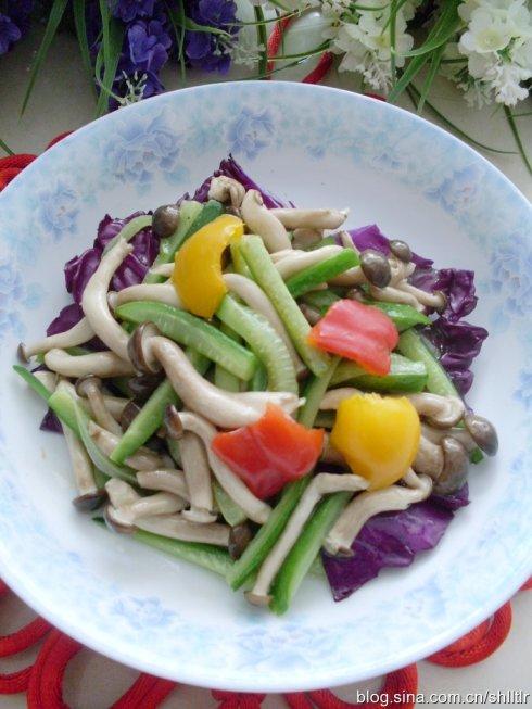 зζ��������ƹϵ�����