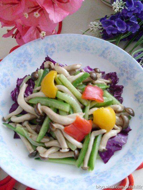 зζ��������ƹϵ�����