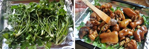 �����㻨������