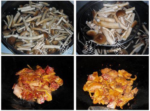 茶树菇滑鸡的做法