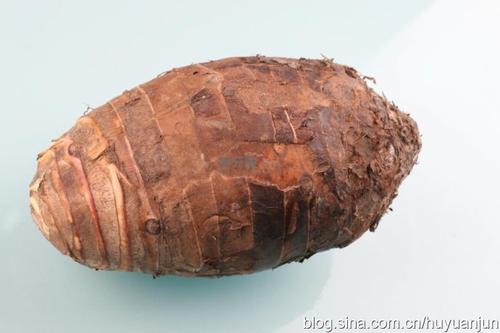 Ҭ֭���󻬼��ҵ�����