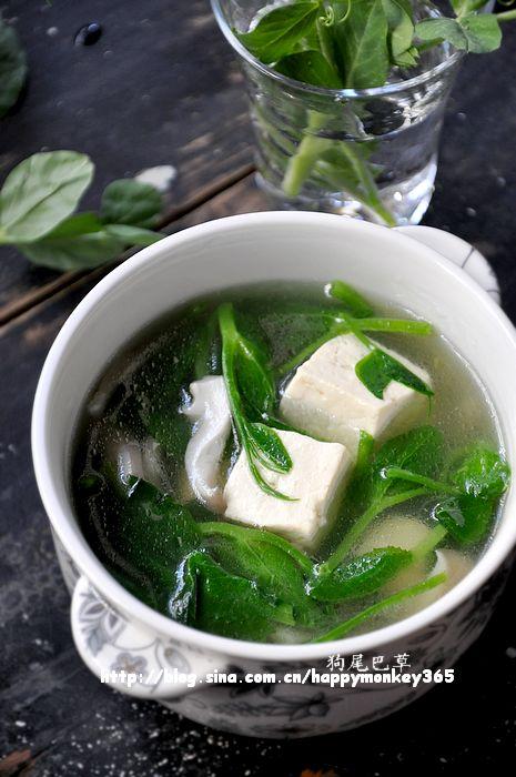 �㶹��Ģ��������������