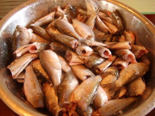 ��ըС���������