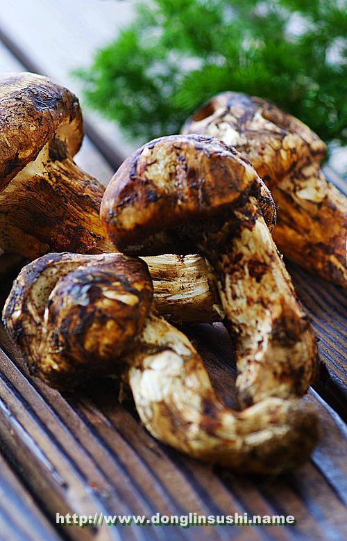 ��з�۳�����Ƭ������