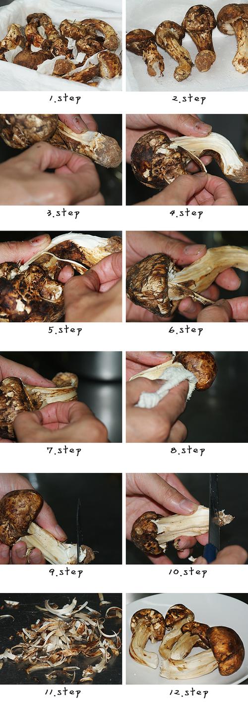 ��з�۳�����Ƭ������