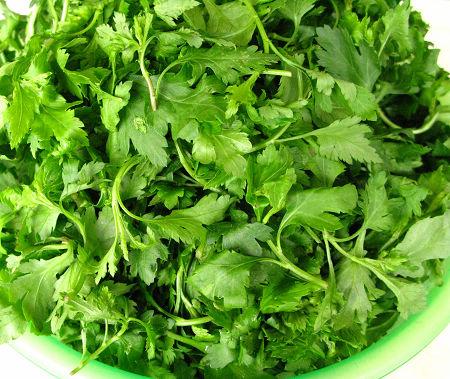 清炒菊花菜的做法