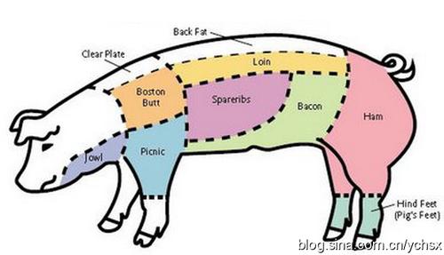 ��֭���ȵ�����