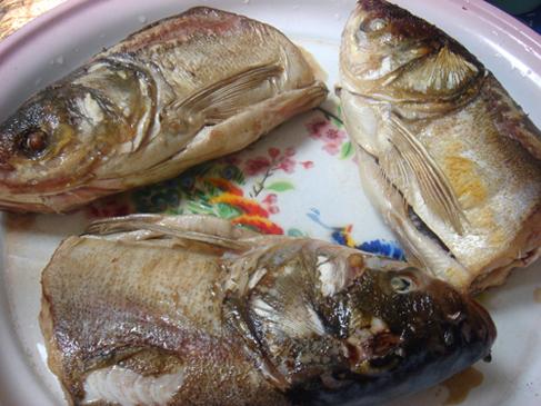 胖头鱼鱼头泡饼的做法