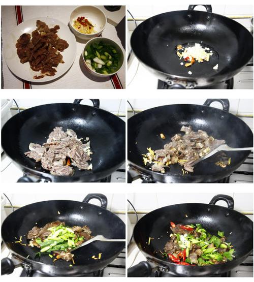 �ع�ţ���������