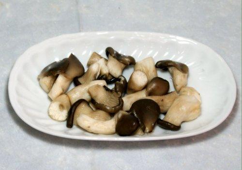 ˿�ϻⶹ��������