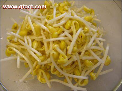 ��ʽ����������