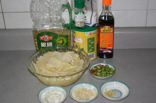 ��������Ƭ������