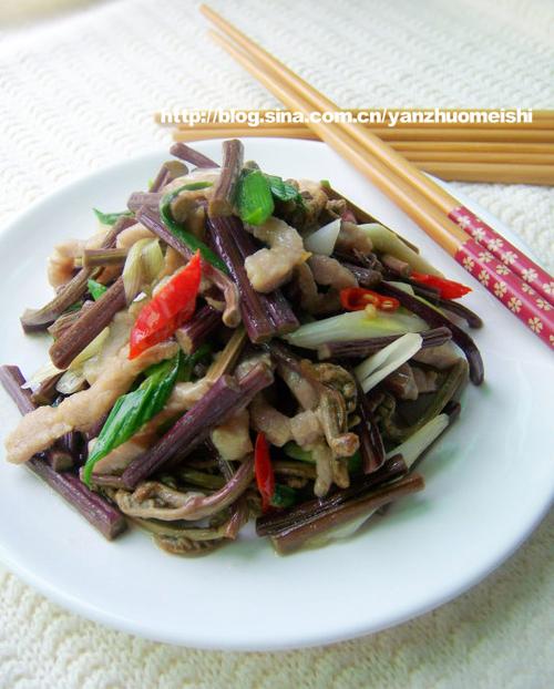 ާ����˿������