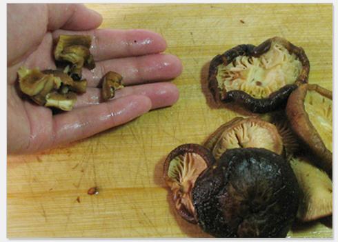 �㹽���������