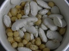 ����Ȧ��������