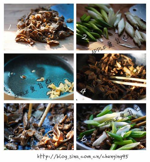 �峴������Ƭ������