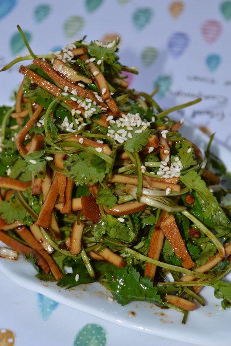 �����ɰ���˵�����