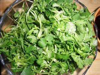 �����ɰ���˵�����