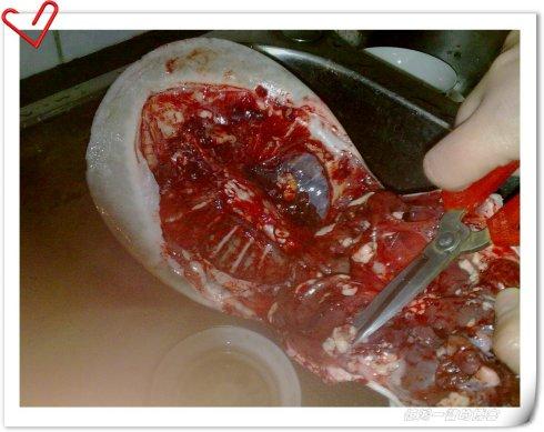 ���ռ��������