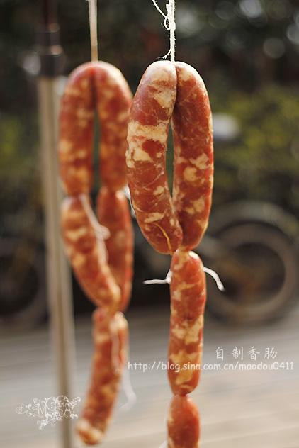 �����㳦������