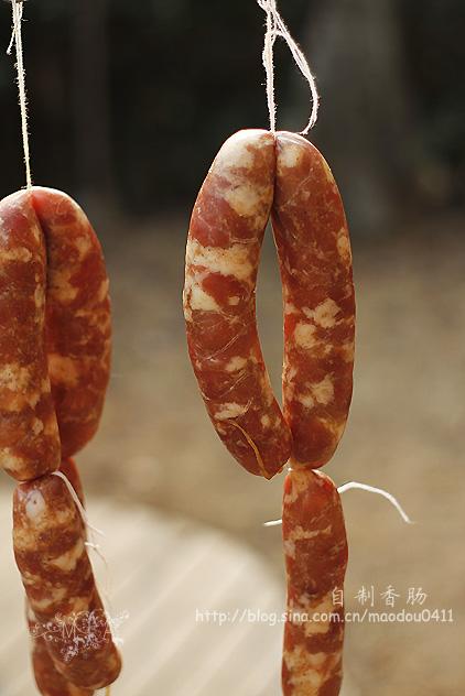 �����㳦������