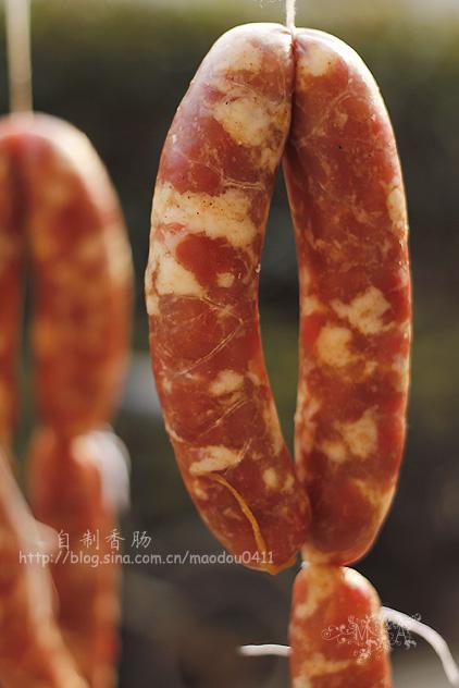 �����㳦������