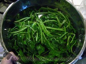 ��֥��貤�˵�����